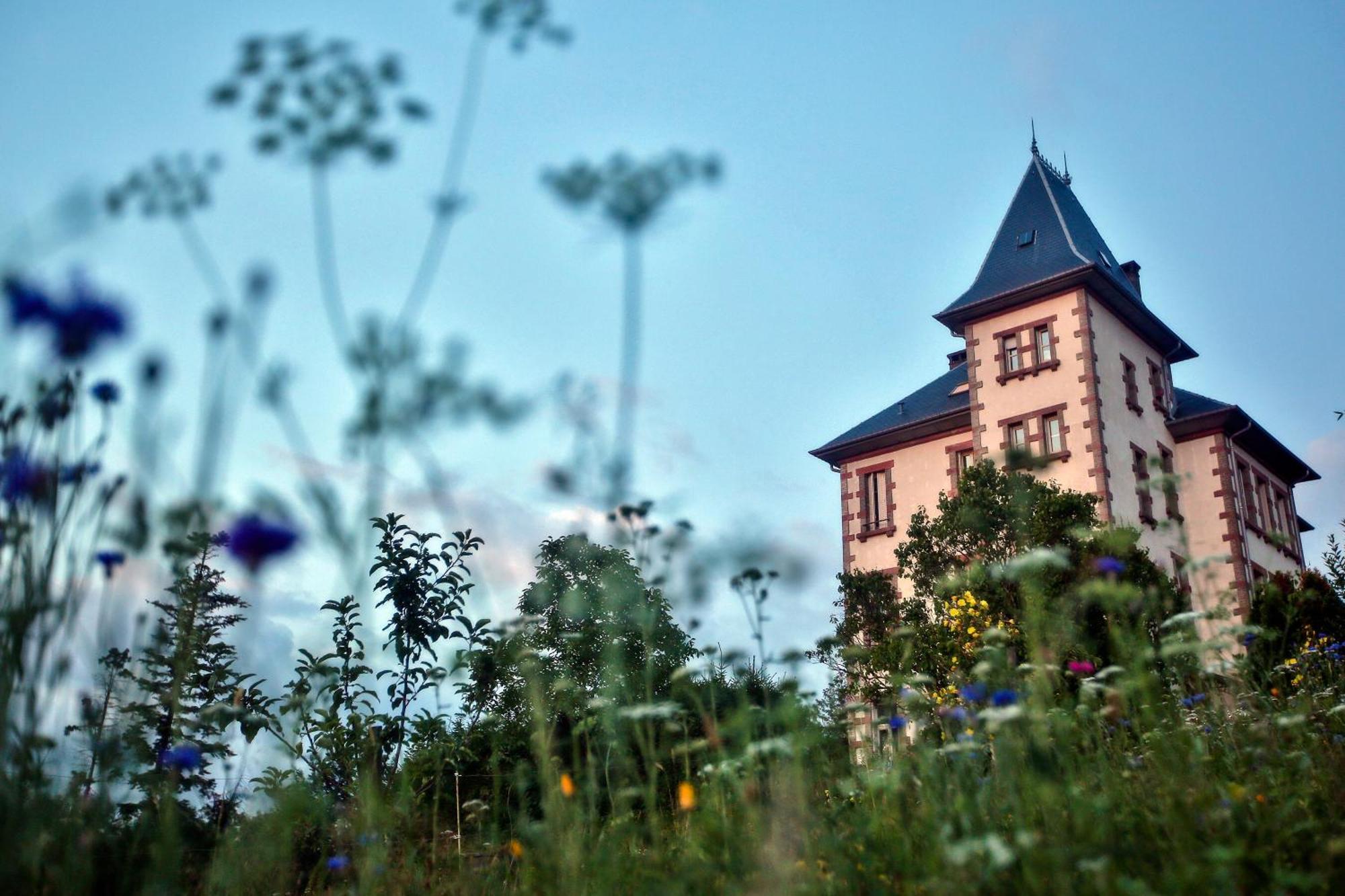 Chateau Robert Raon-lʼÉtape Eksteriør bilde